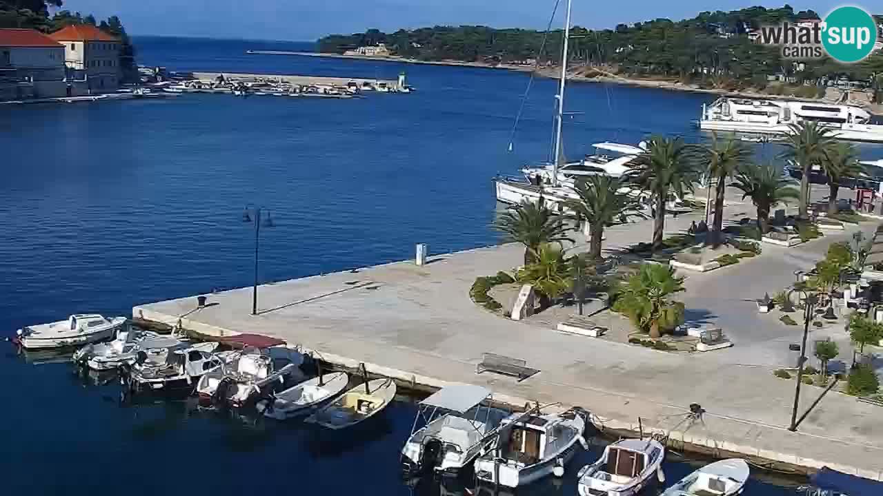 Jelsa Live Webcam motorized – Hvar island – Dalmatia – Croatia