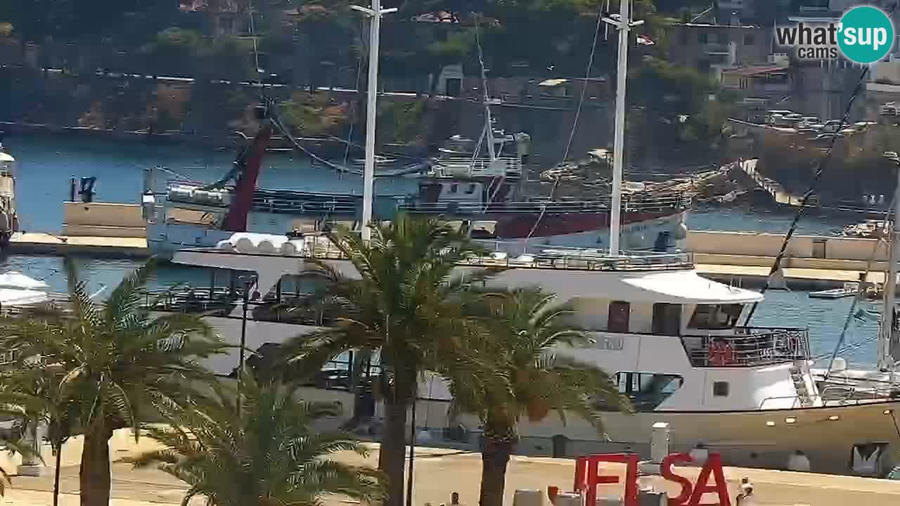 Gelsa webcam Lesina isola
