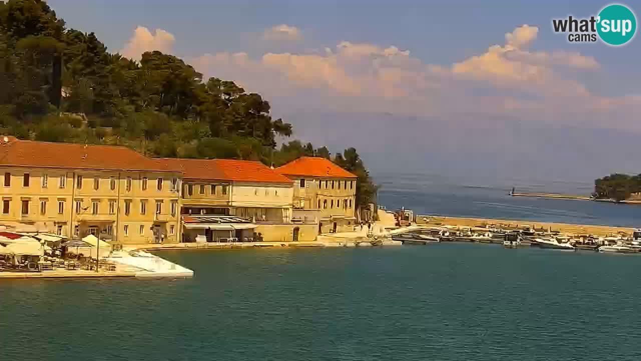 Jelsa Live Webcam motorizzata – Isola di Hvar – Dalmazia – Croazia