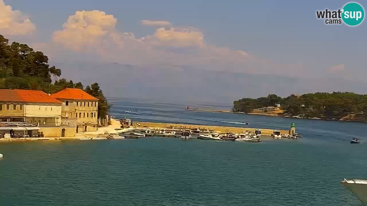 Webcam Jelsa Live motorisée – île de Hvar – Dalmatie – Croatie