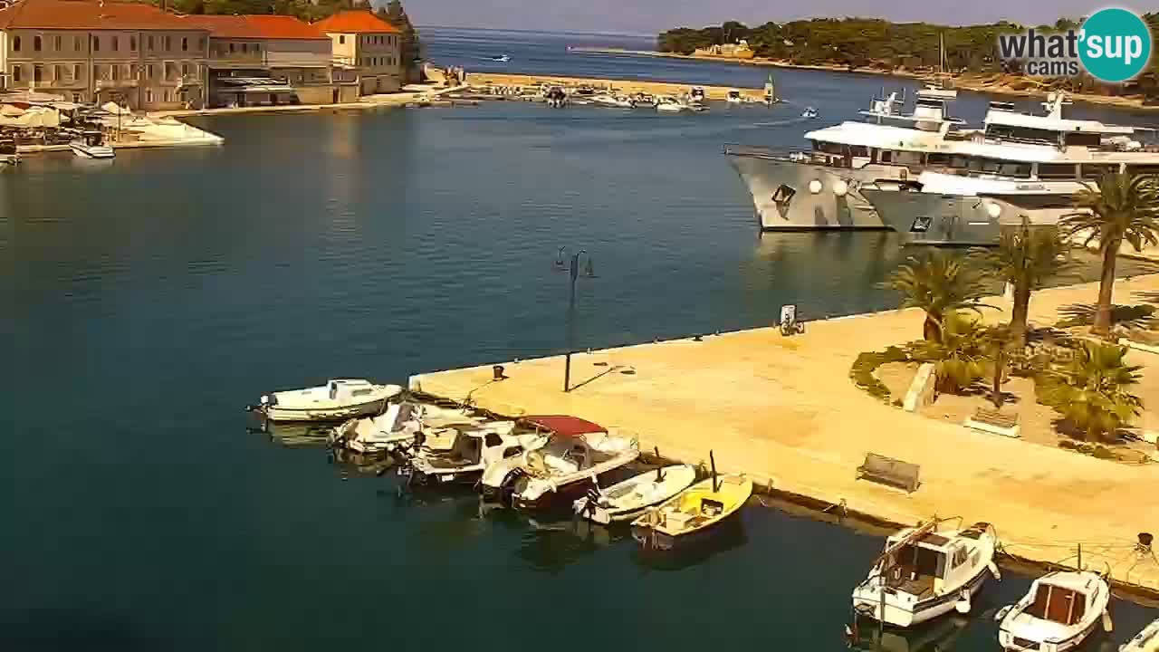 Jelsa Livecam Hvar