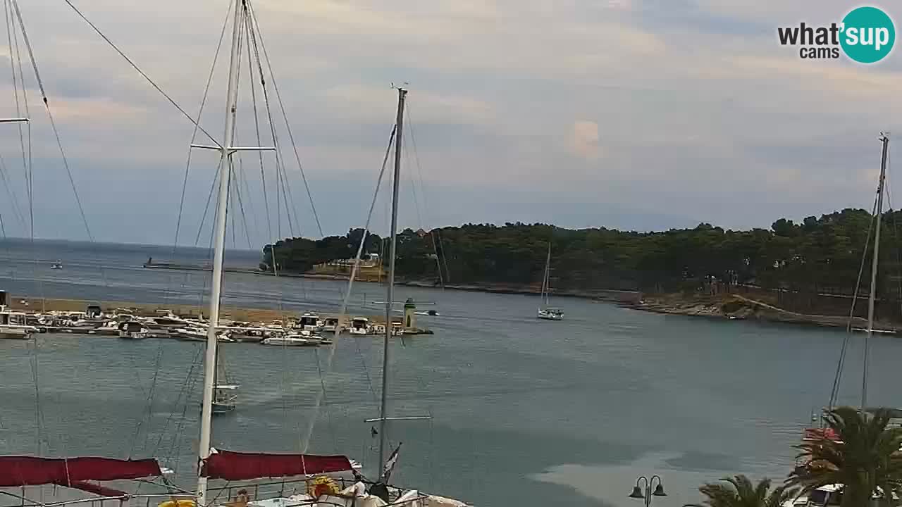 Jelsa Live Webcam motorized – Hvar island – Dalmatia – Croatia