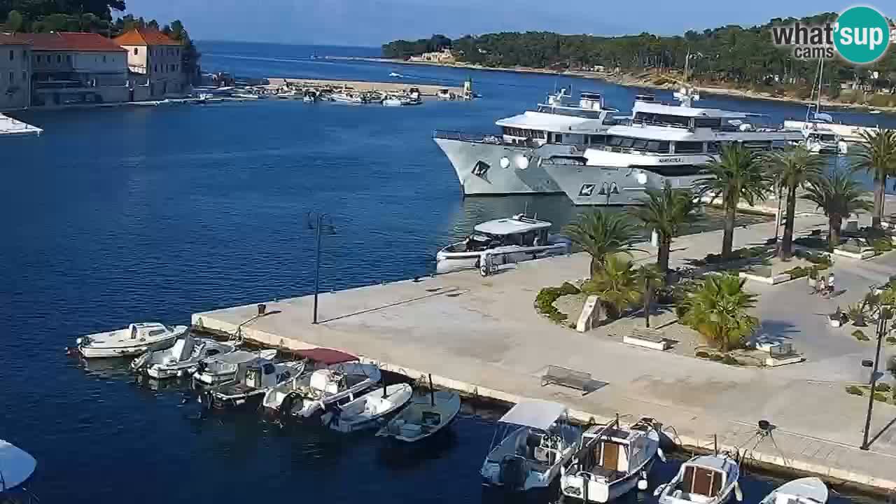 Jelsa Live Webcam motorized – Hvar island – Dalmatia – Croatia