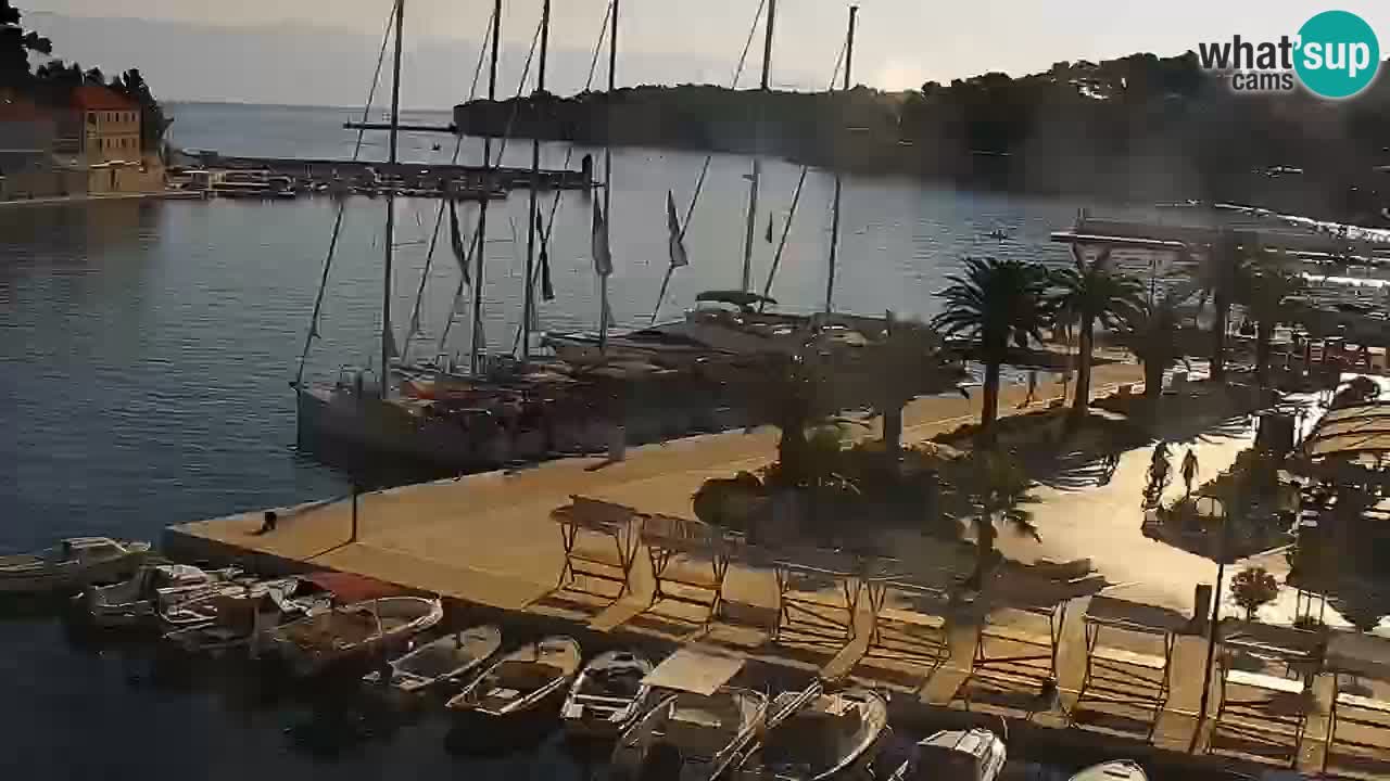 Gelsa webcam Lesina isola