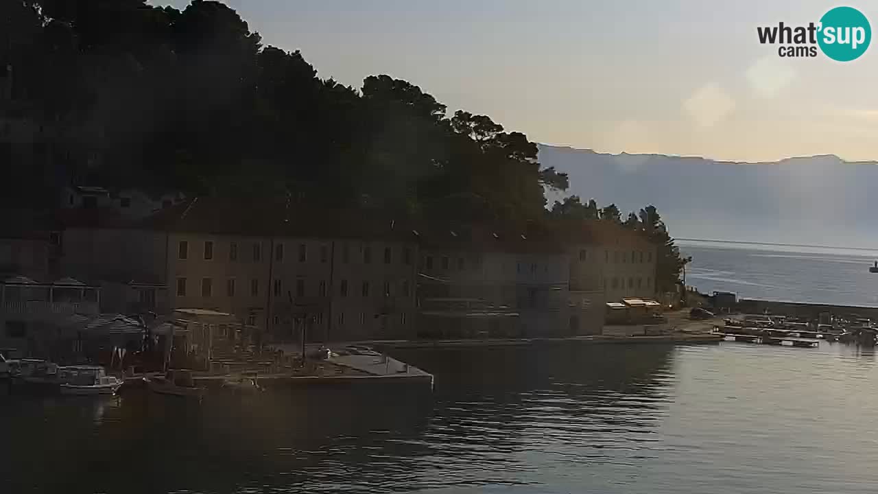 Jelsa Livecam Hvar