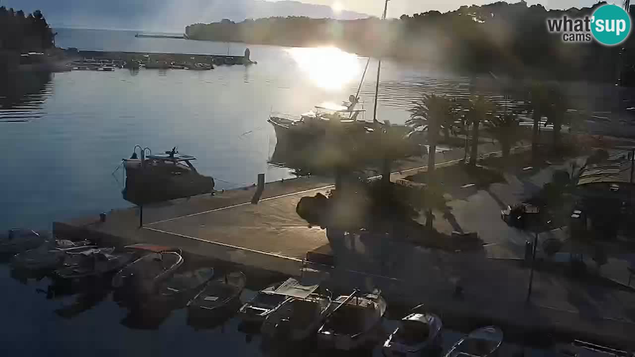 Webcam Jelsa Live motorisée – île de Hvar – Dalmatie – Croatie