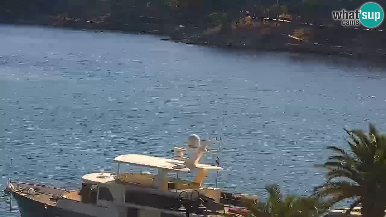 Jelsa motorizirana web kamera – otok Hvar – Dalmacija