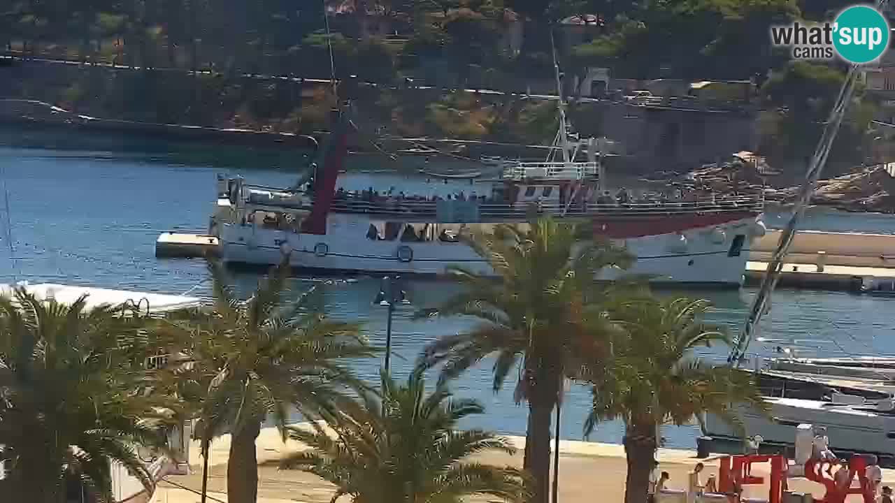 Jelsa camera en vivo – Isla de Hvar – Dalmacia – Croacia