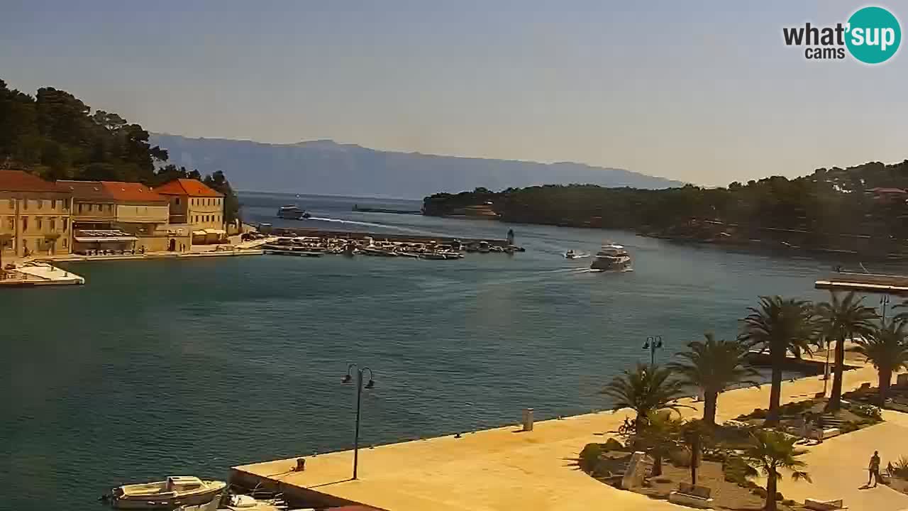 Jelsa Livecam Hvar