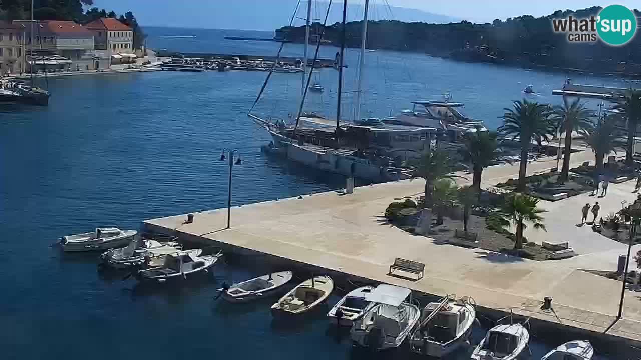 Webcam Jelsa Live motorisée – île de Hvar – Dalmatie – Croatie