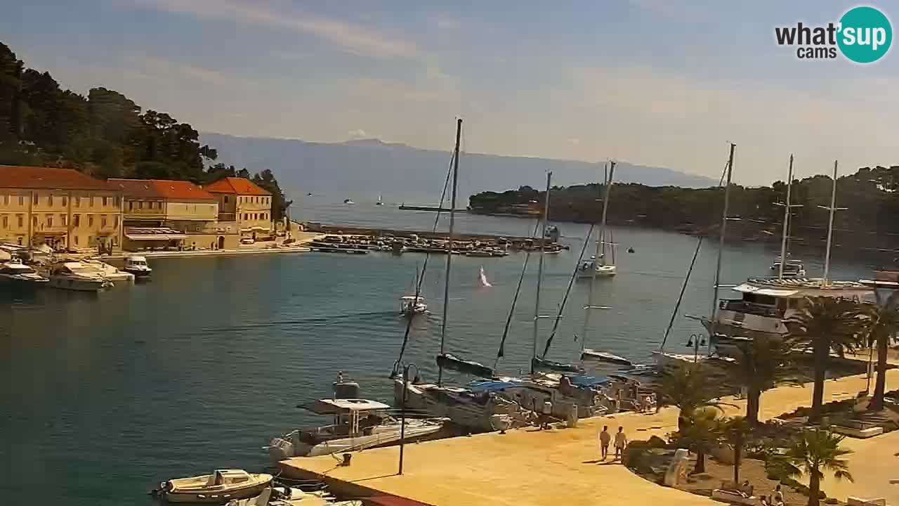 Jelsa Livecam Hvar island