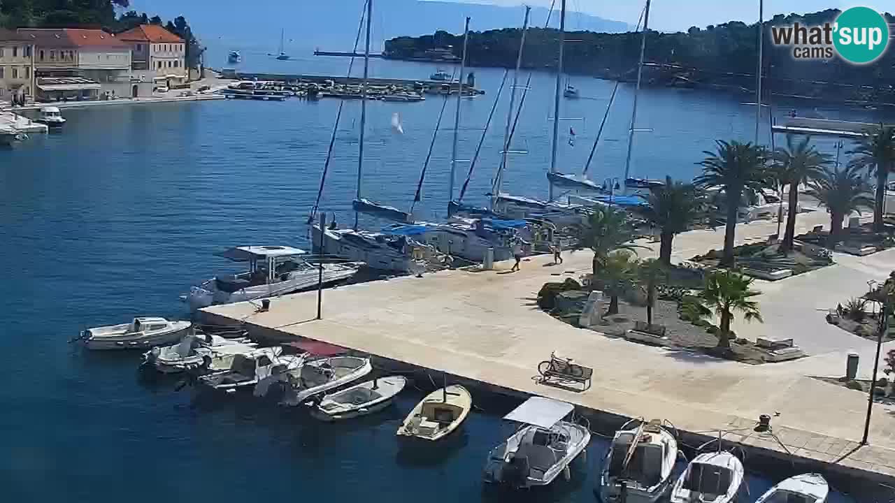 Jelsa Live Webcam motorizzata – Isola di Hvar – Dalmazia – Croazia