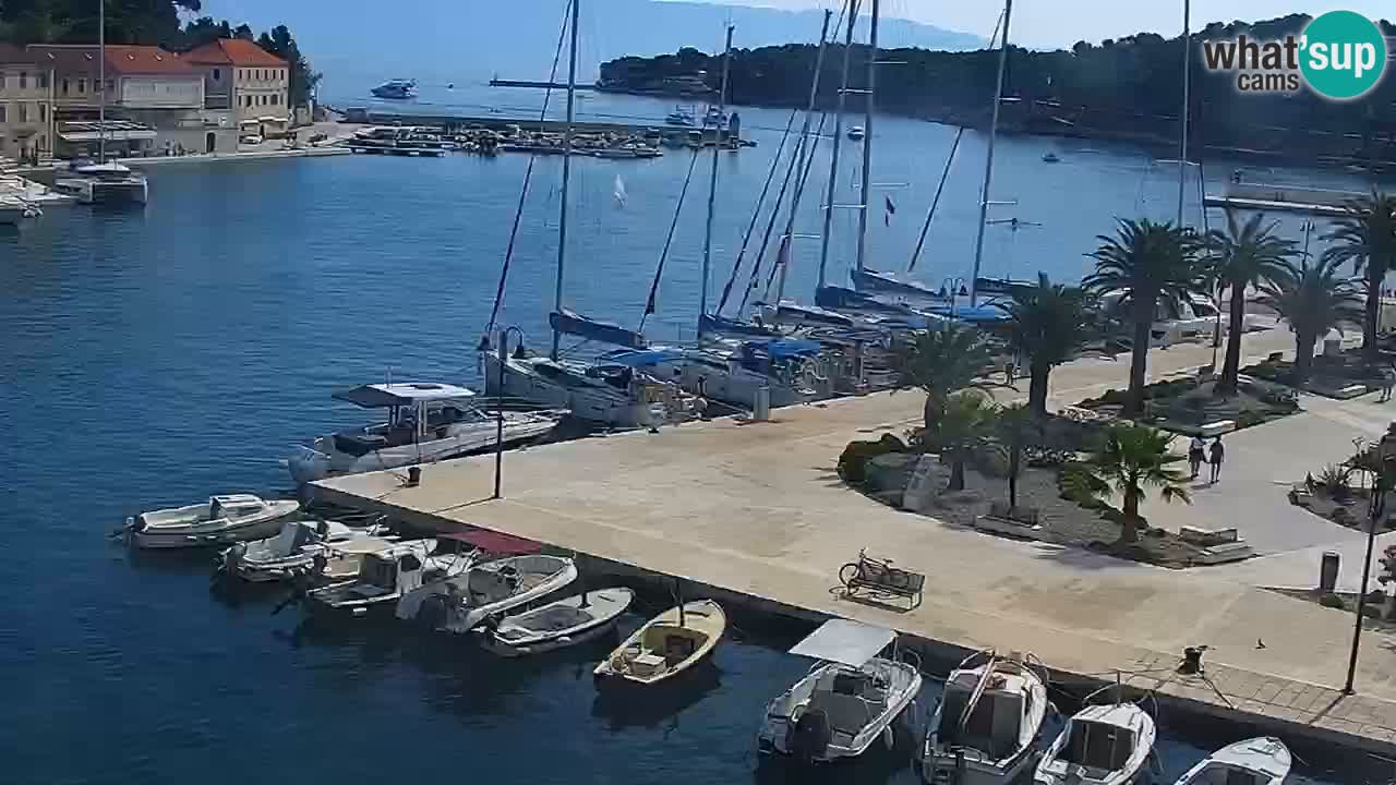 Jelsa camera en vivo – Isla de Hvar – Dalmacia – Croacia