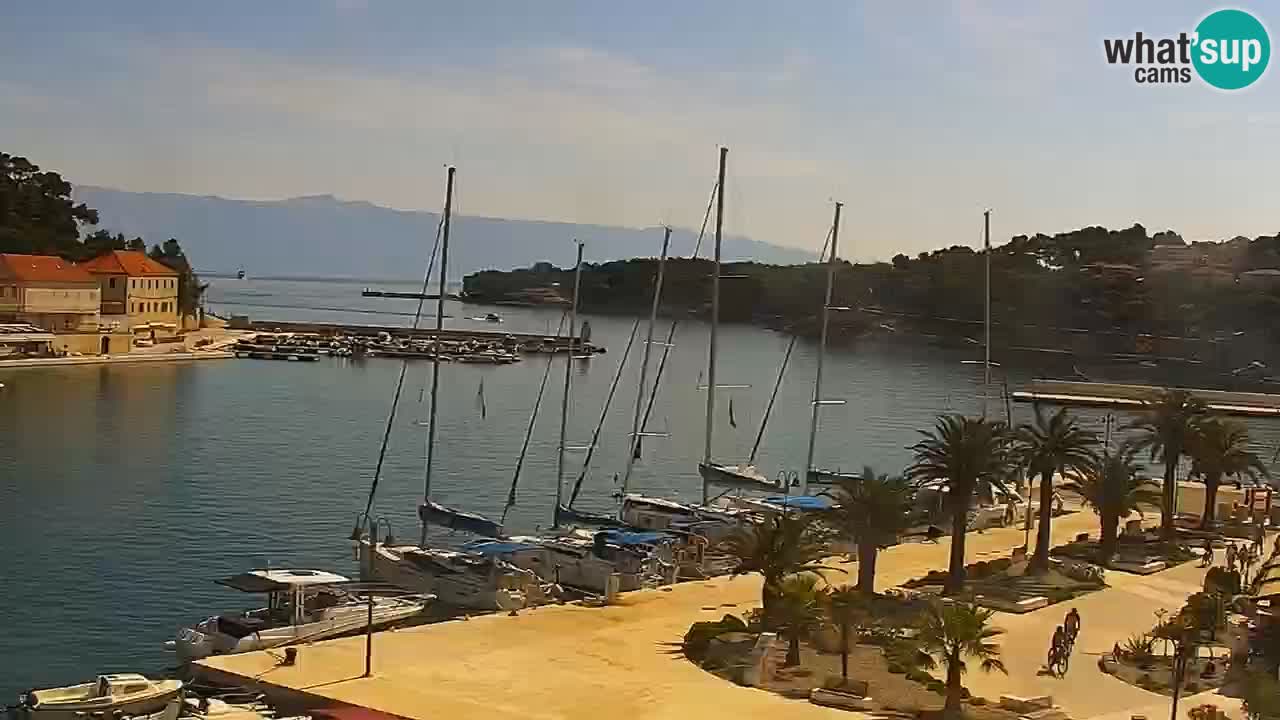 Jelsa Live Webcam motorizzata – Isola di Hvar – Dalmazia – Croazia