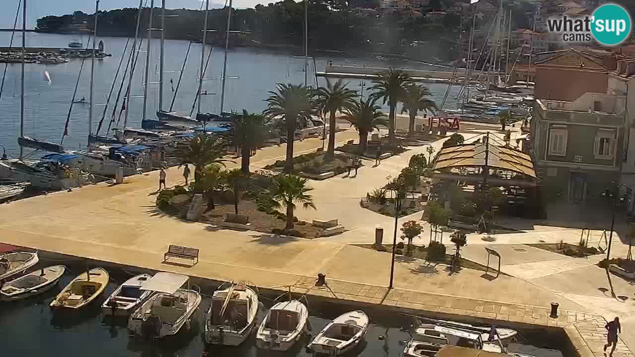 Webcam Jelsa Live motorisée – île de Hvar – Dalmatie – Croatie