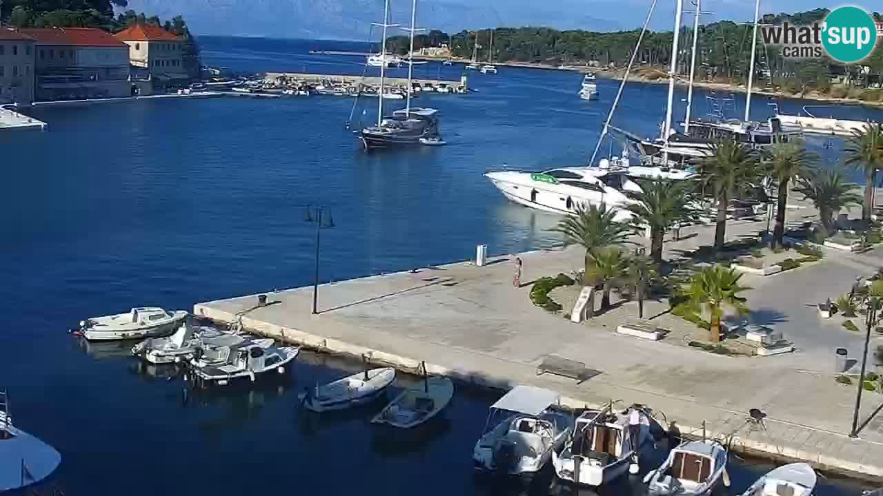 Jelsa Live Webcam motorizzata – Isola di Hvar – Dalmazia – Croazia