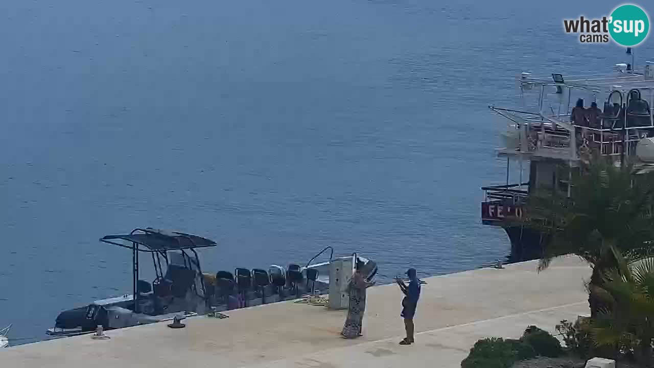 Gelsa webcam Lesina isola