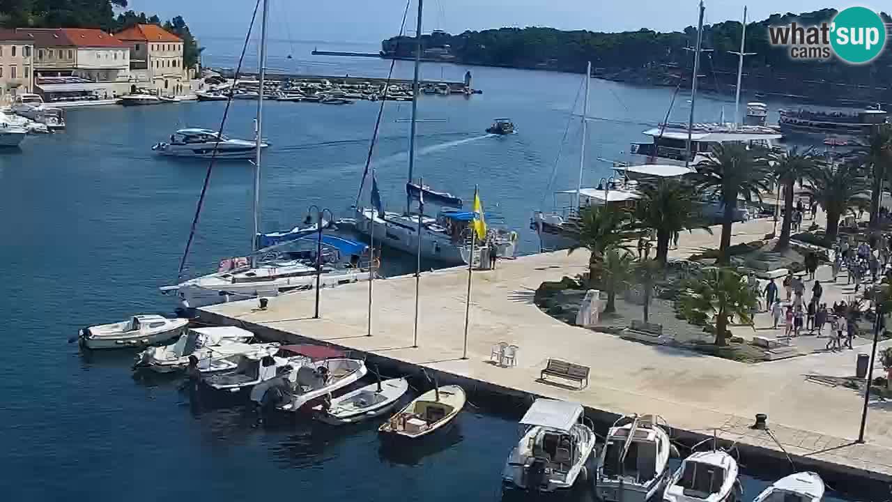 Jelsa Live Webcam motorizzata – Isola di Hvar – Dalmazia – Croazia