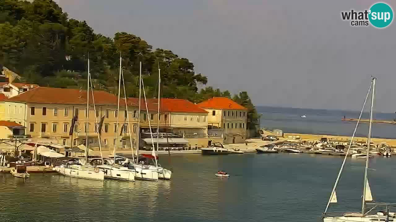 Webcam Jelsa Live motorisée – île de Hvar – Dalmatie – Croatie