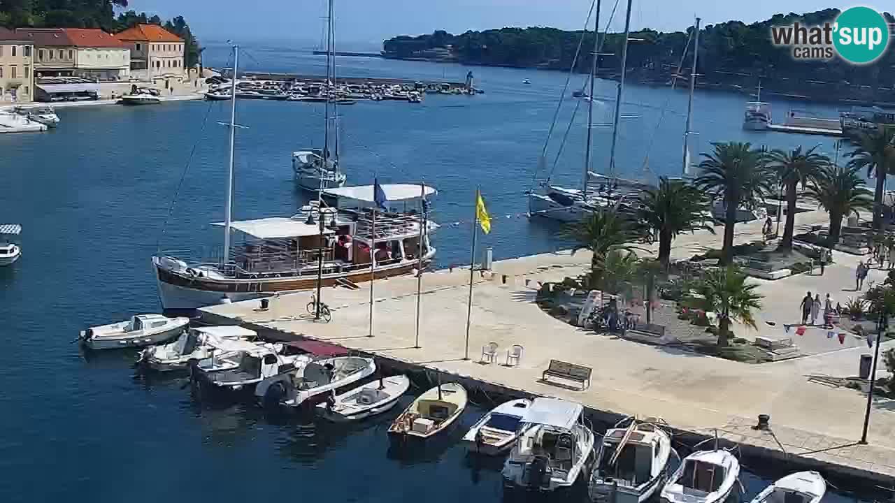 Jelsa Live Webcam motorized – Hvar island – Dalmatia – Croatia