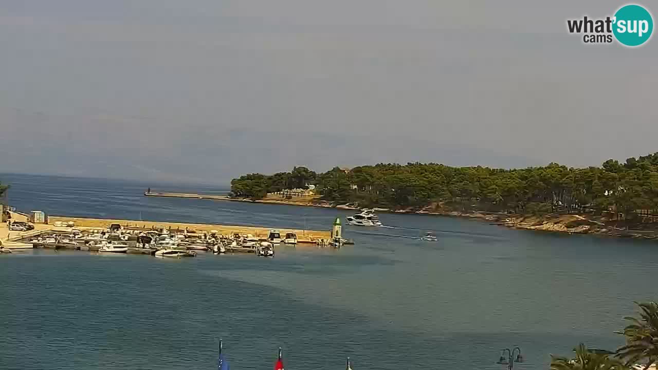 Jelsa motorizirana web kamera – otok Hvar – Dalmacija