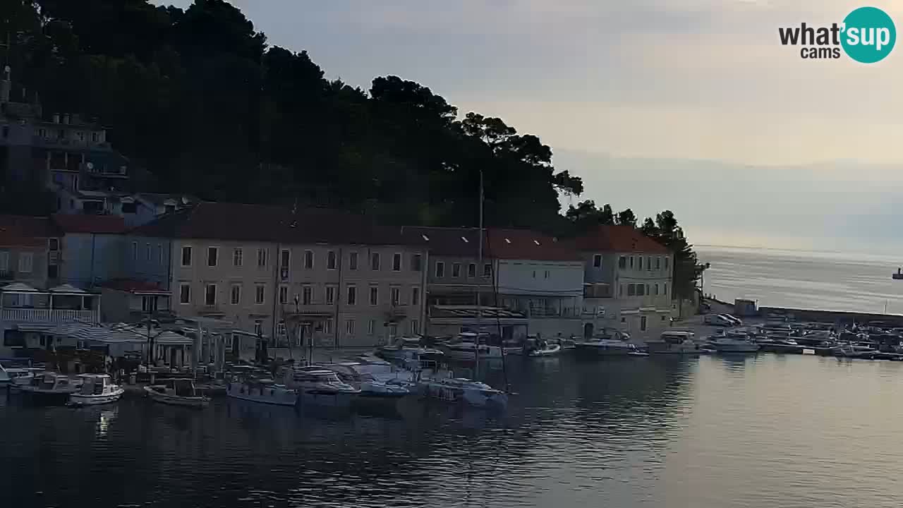 Webcam Jelsa Live motorisée – île de Hvar – Dalmatie – Croatie