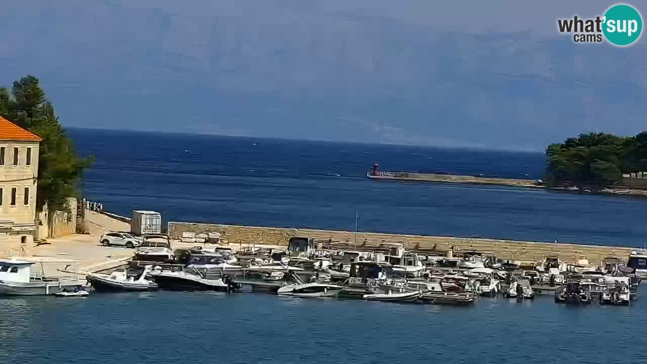 Webcam Jelsa Live motorisée – île de Hvar – Dalmatie – Croatie