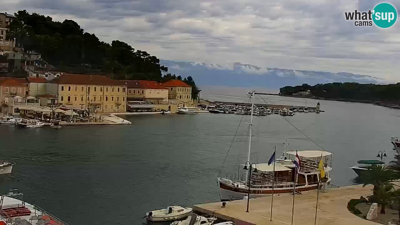 Webcam Jelsa Live motorisée – île de Hvar – Dalmatie – Croatie