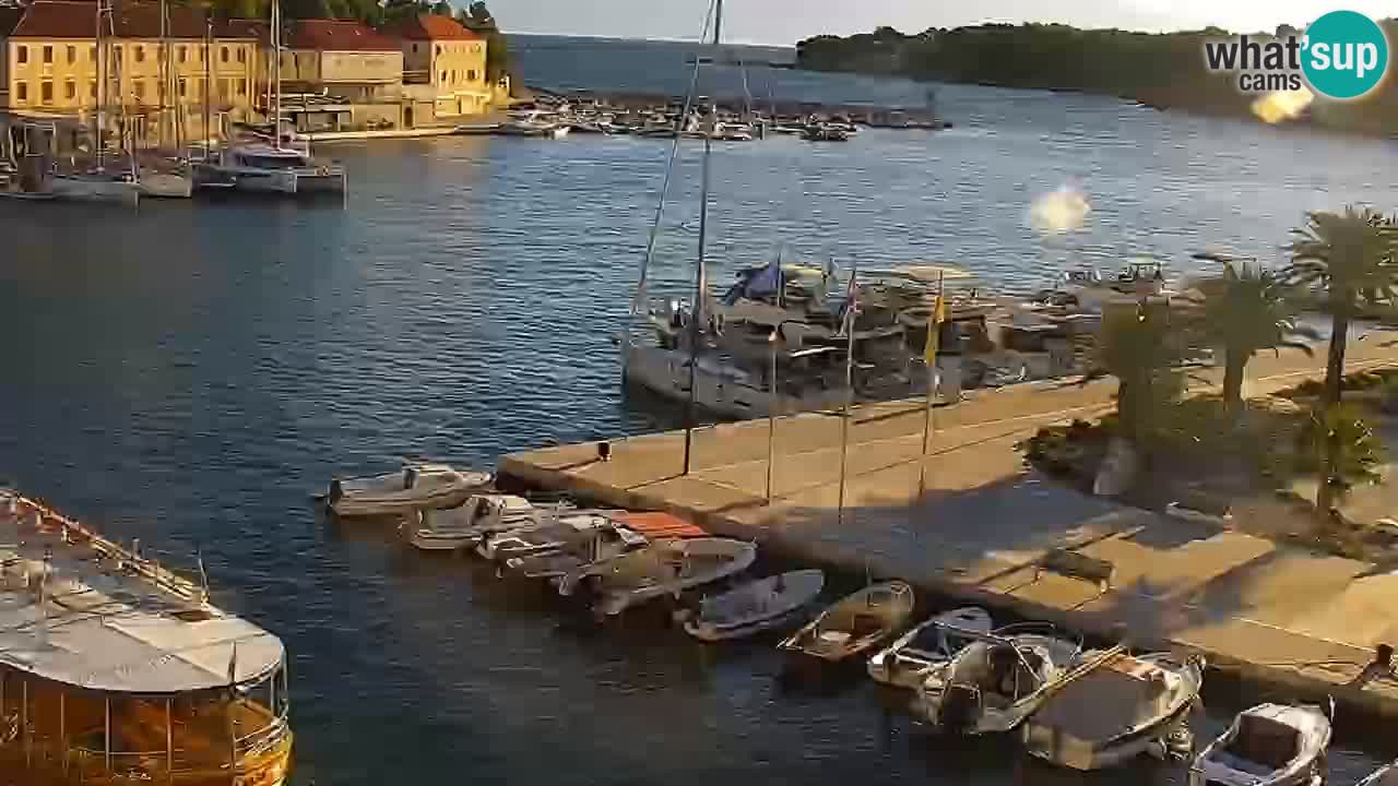 Jelsa camera en vivo – Isla de Hvar – Dalmacia – Croacia