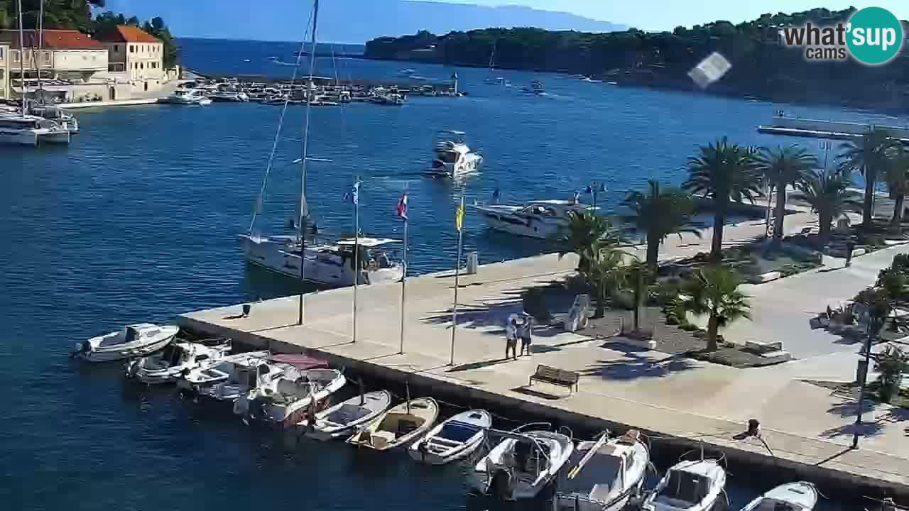 Jelsa Live Webcam motorizzata – Isola di Hvar – Dalmazia – Croazia
