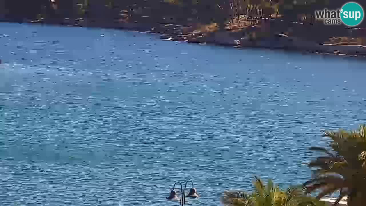 Jelsa camera en vivo – Isla de Hvar – Dalmacia – Croacia