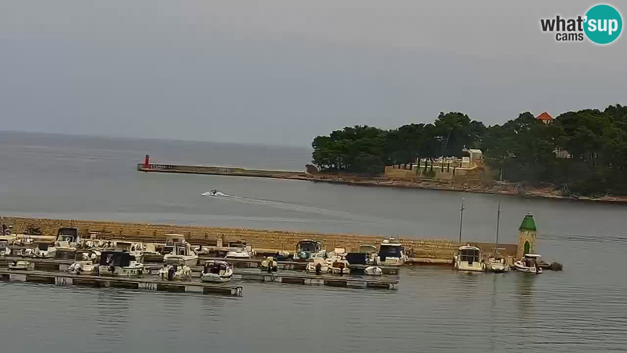 Jelsa Live Webcam motorizzata – Isola di Hvar – Dalmazia – Croazia