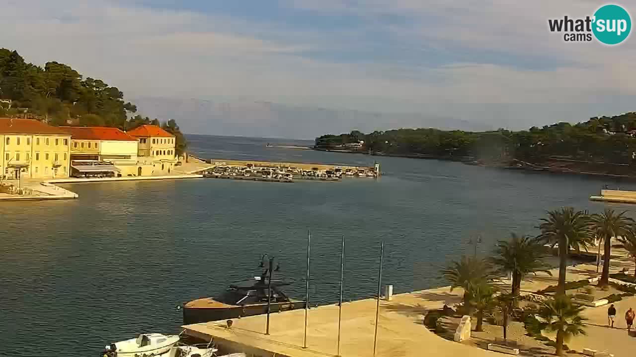 Jelsa Live Webcam motorizzata – Isola di Hvar – Dalmazia – Croazia