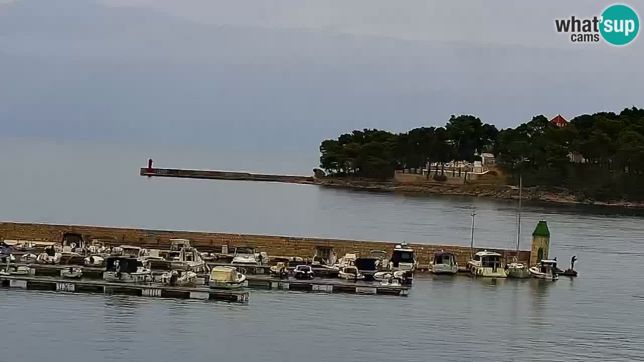 Webcam Jelsa Live motorisée – île de Hvar – Dalmatie – Croatie
