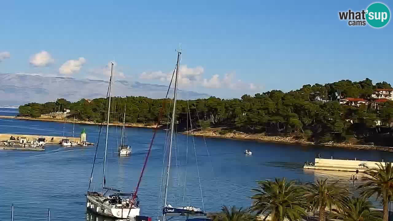 Jelsa camera en vivo – Isla de Hvar – Dalmacia – Croacia