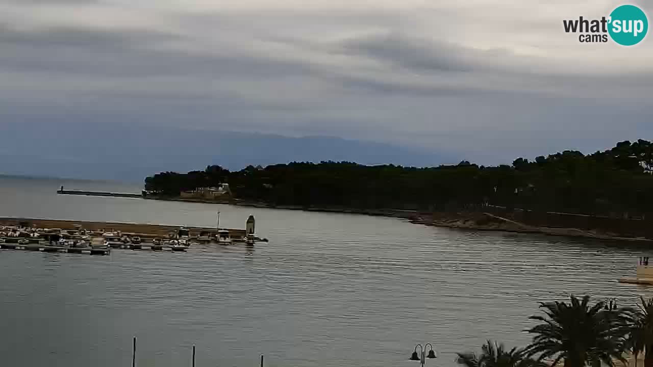 Jelsa camera en vivo – Isla de Hvar – Dalmacia – Croacia