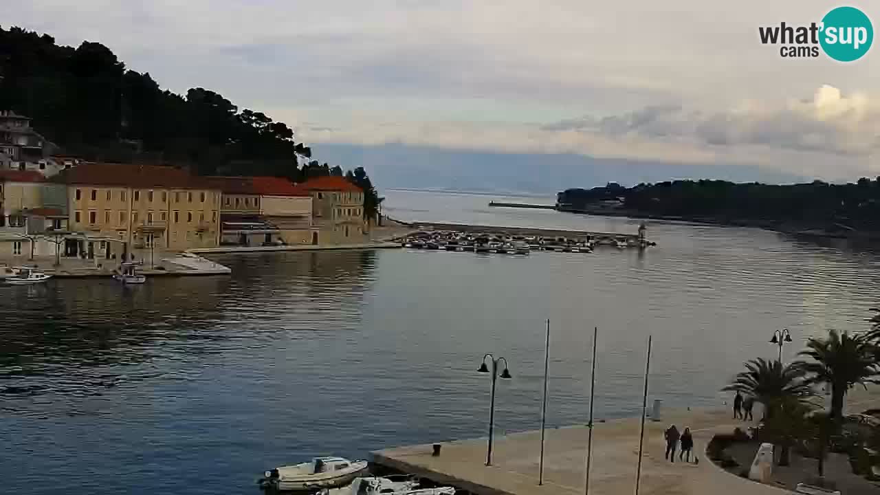 Webcam Jelsa Live motorisée – île de Hvar – Dalmatie – Croatie