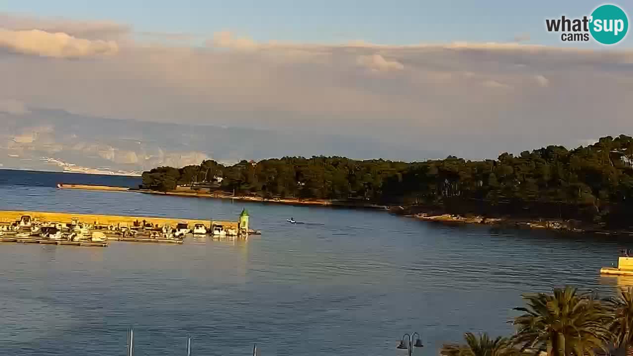 Jelsa Live Webcam motorizzata – Isola di Hvar – Dalmazia – Croazia