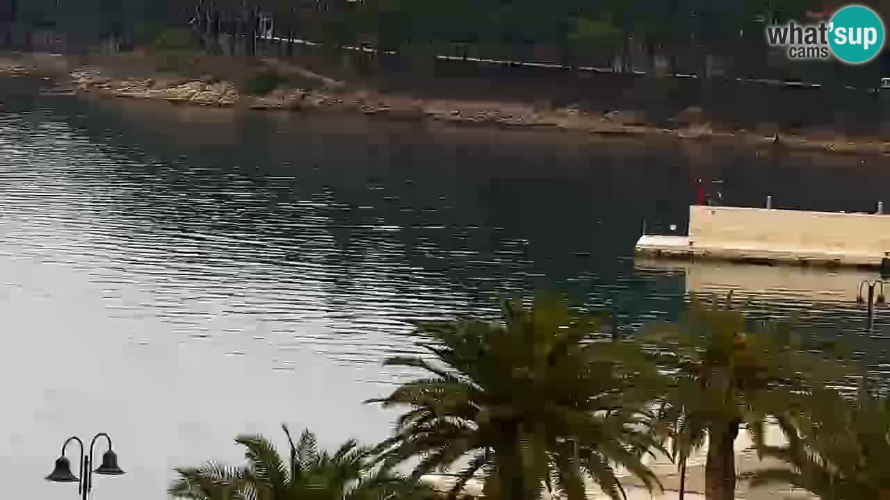 Jelsa Live Webcam motorizzata – Isola di Hvar – Dalmazia – Croazia