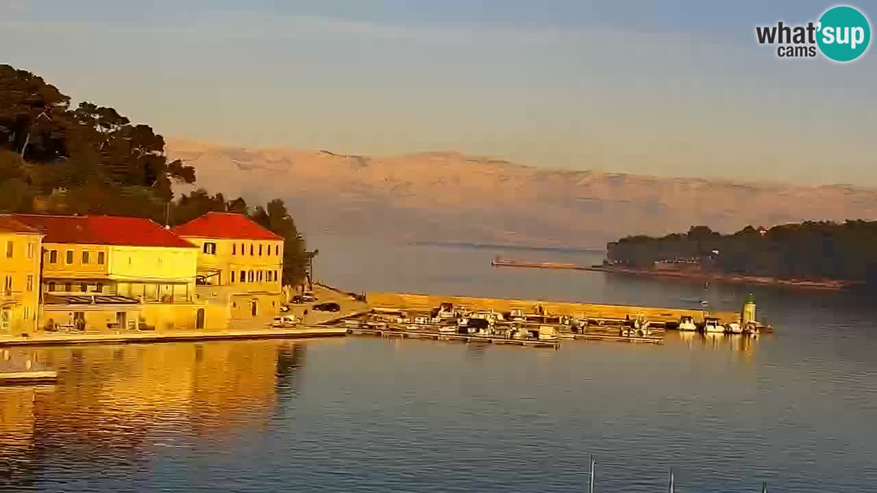 Jelsa Live Webcam motorizzata – Isola di Hvar – Dalmazia – Croazia