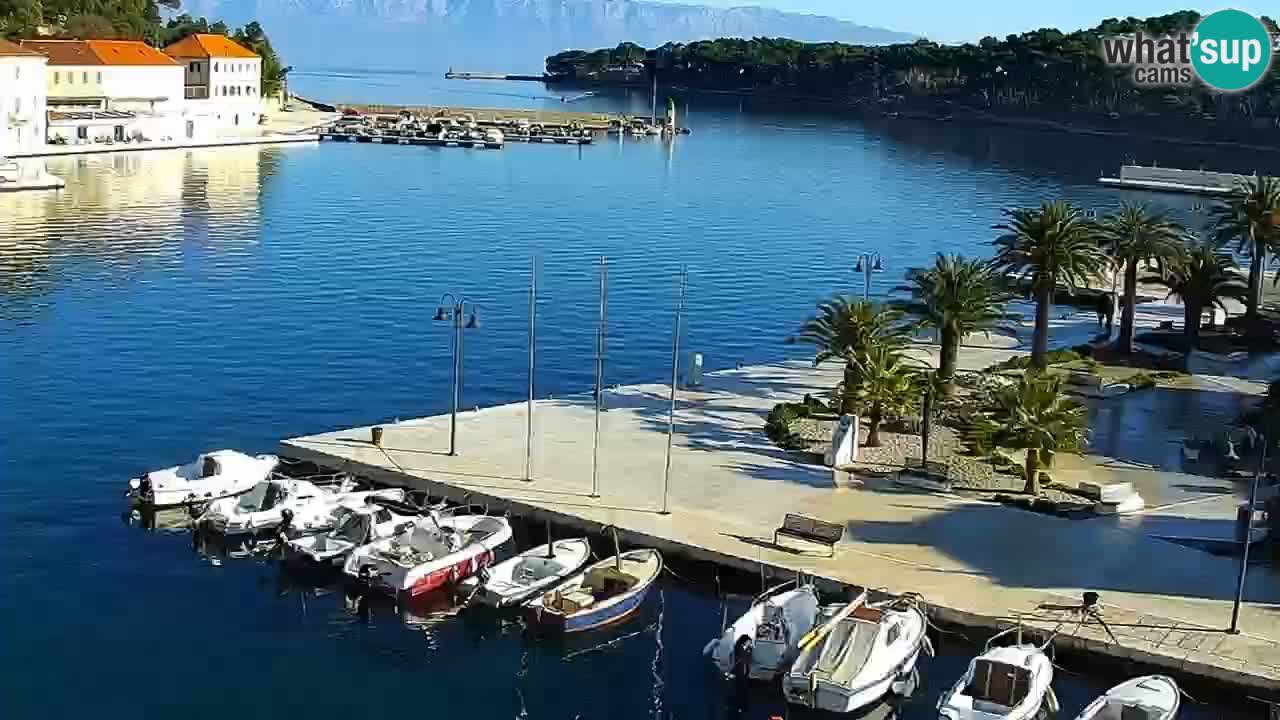 Webcam Jelsa Live motorisée – île de Hvar – Dalmatie – Croatie