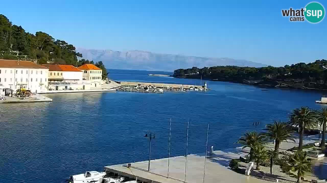 Jelsa Live Webcam motorizzata – Isola di Hvar – Dalmazia – Croazia