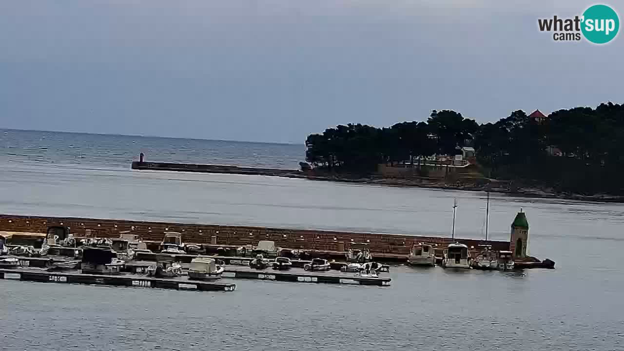 Jelsa camera en vivo – Isla de Hvar – Dalmacia – Croacia