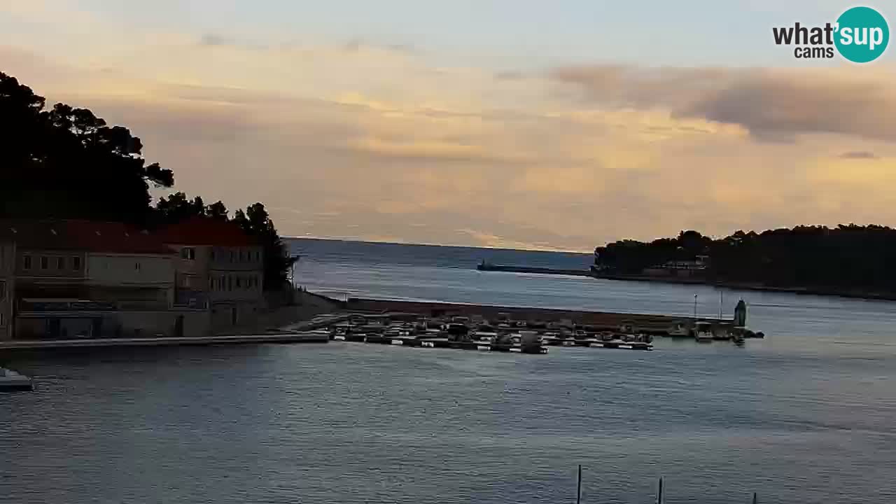 Jelsa Live Webcam motorizzata – Isola di Hvar – Dalmazia – Croazia