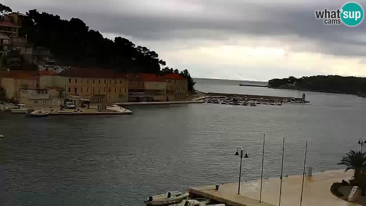Webcam Jelsa Live motorisée – île de Hvar – Dalmatie – Croatie