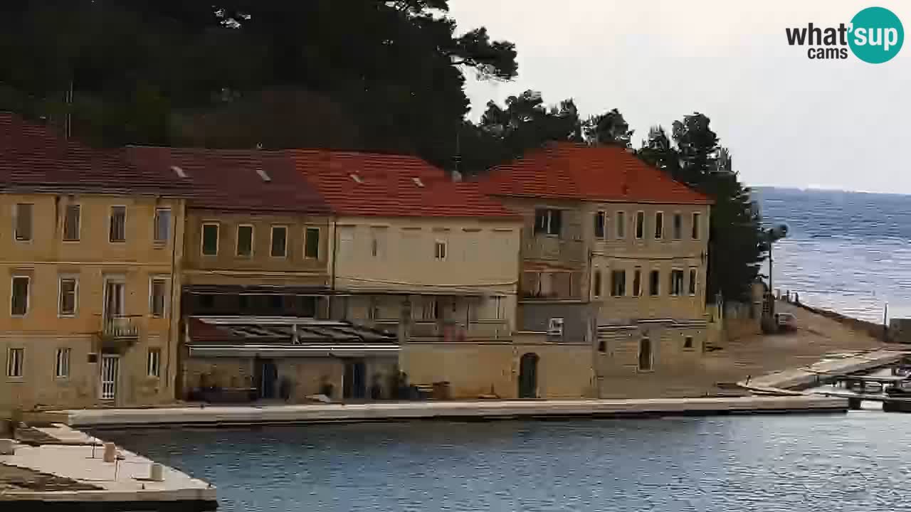 Jelsa Live Webcam motorizzata – Isola di Hvar – Dalmazia – Croazia