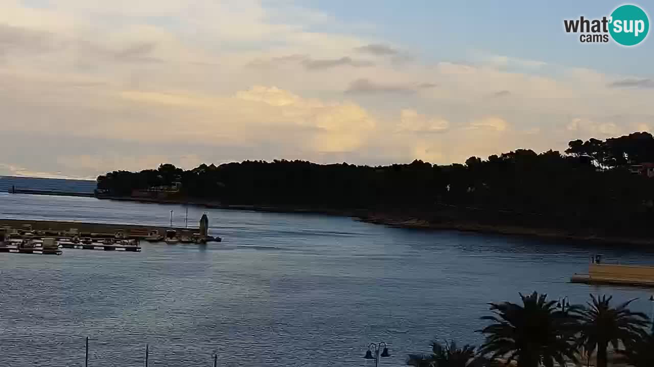 Webcam Jelsa Live motorisée – île de Hvar – Dalmatie – Croatie