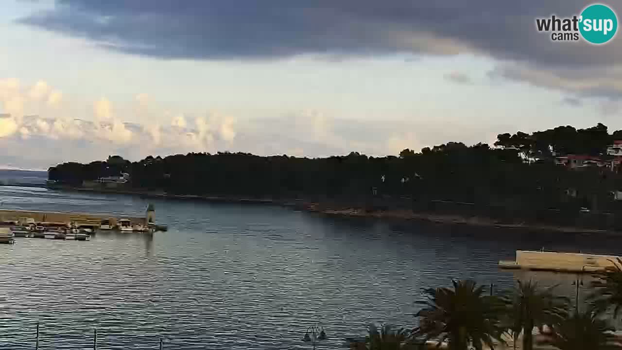 Jelsa Live Webcam motorizzata – Isola di Hvar – Dalmazia – Croazia