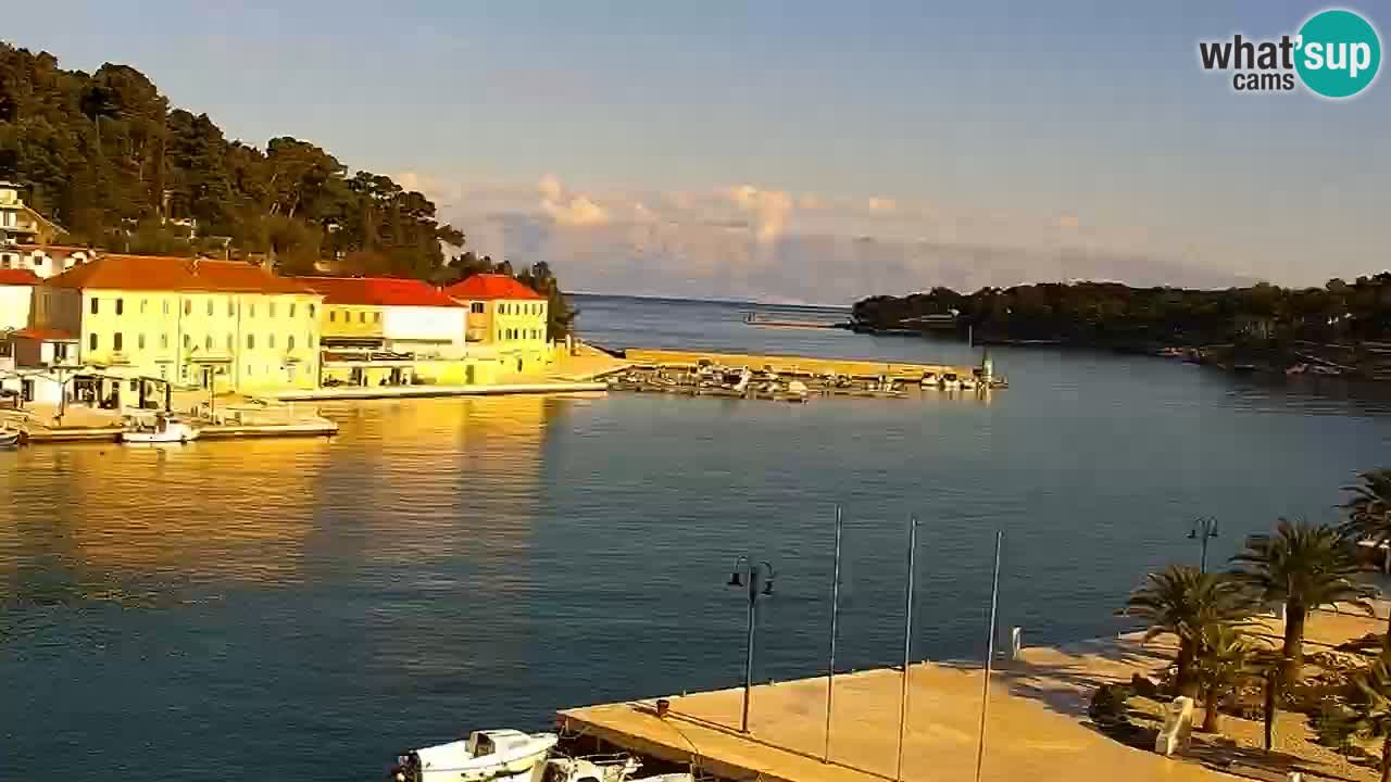 Webcam Jelsa Live motorisée – île de Hvar – Dalmatie – Croatie
