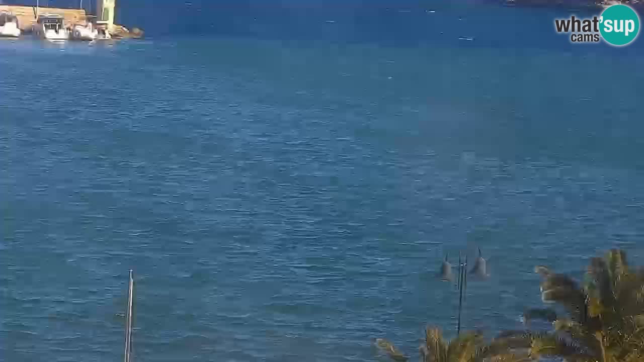 Jelsa camera en vivo – Isla de Hvar – Dalmacia – Croacia